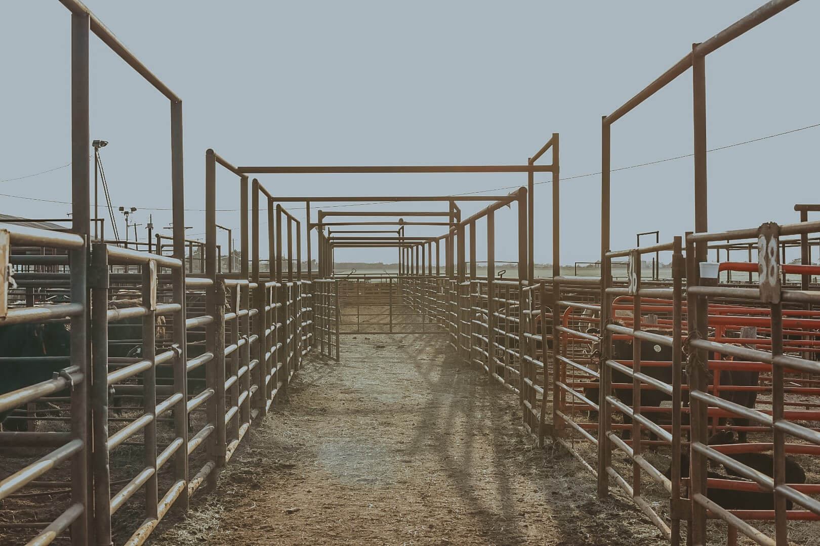 Home Fairview Livestock Commission Company