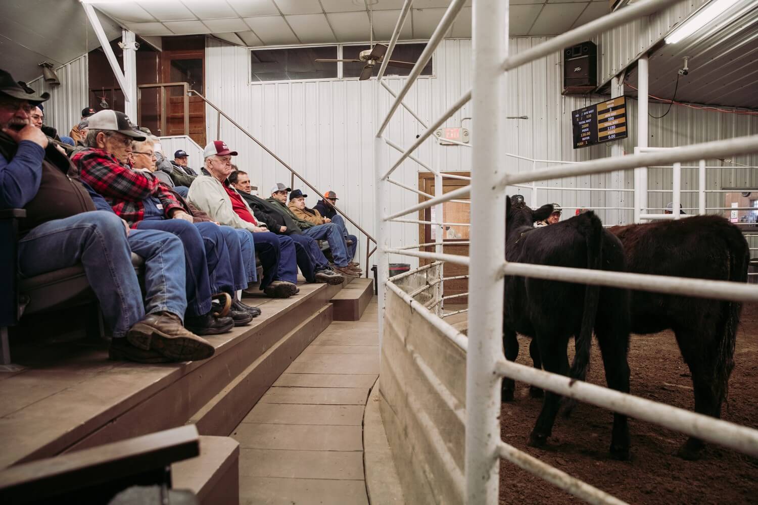 Home Fairview Livestock Commission Company