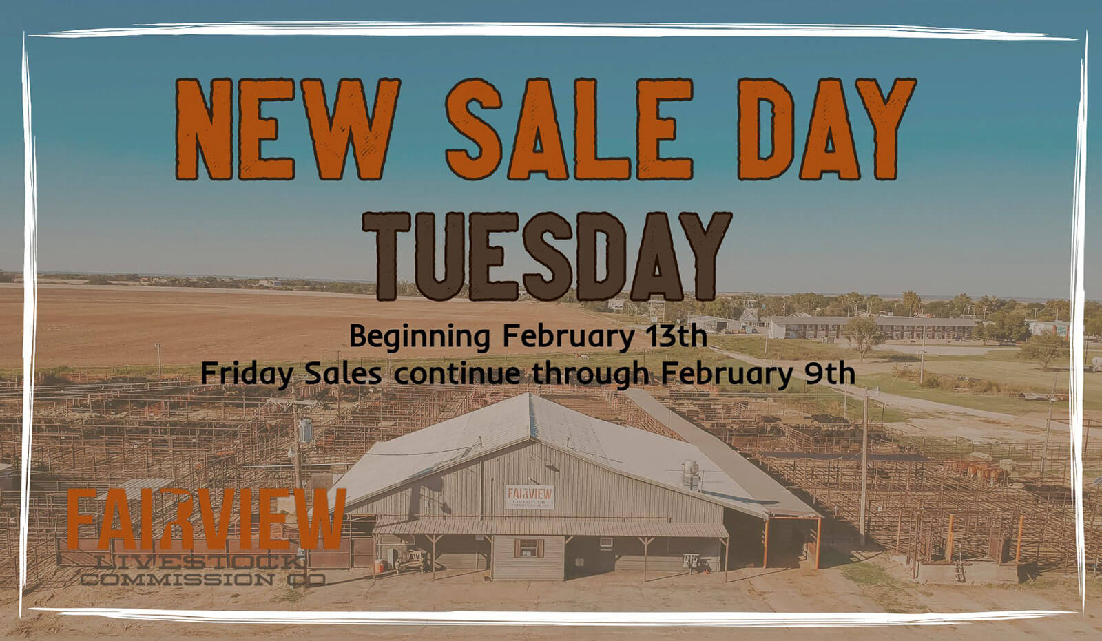 Sale Schedule Fairview Livestock Commission Company